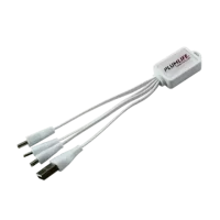 Pisa Charging Cable