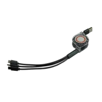 Pompeii Charging Cable